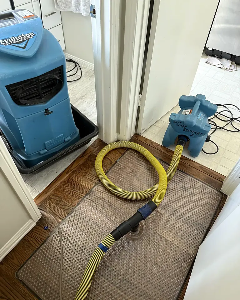 Dehumidifier and floor drying system on a water-damaged hardwood floor