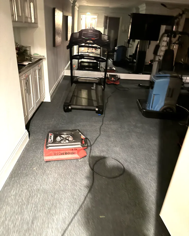Air mover drying carpet in a home gym