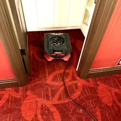 Air mover drying carpet at a closet entrance
