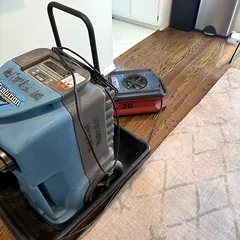 Dehumidifier and air mover drying a rug and hardwood floor