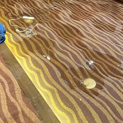 Standing water on soaked carpet after a flood