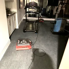 Air mover drying carpet in a home gym