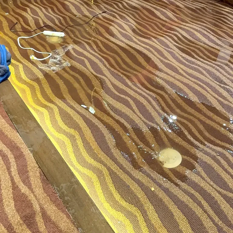 Standing water on soaked carpet after a flood
